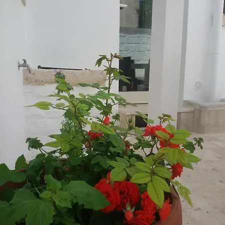 Dimore Vino&amore 3*